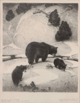 The Mountain Mother Black Bear and Cubs no. 72/100