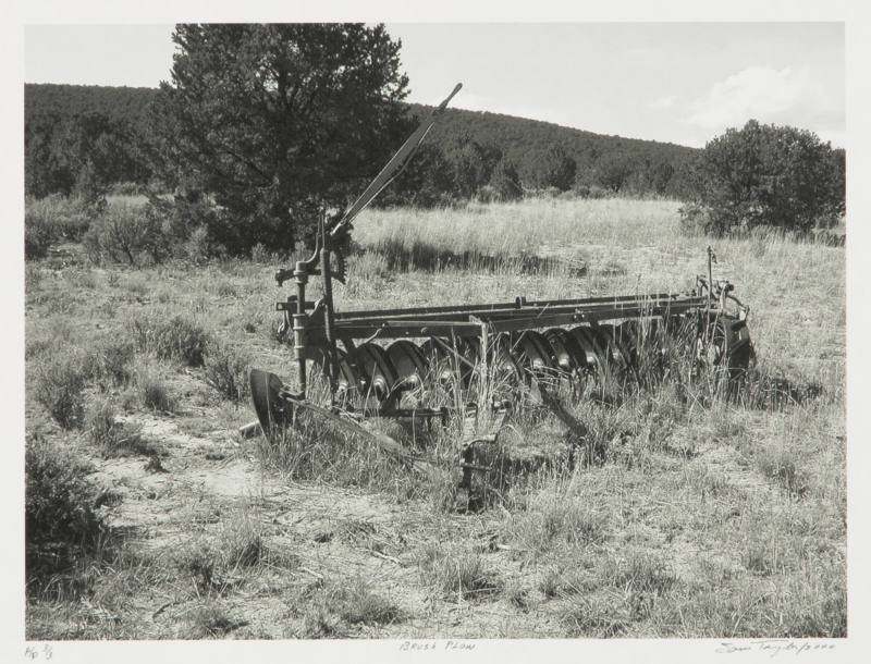 Brush Plow