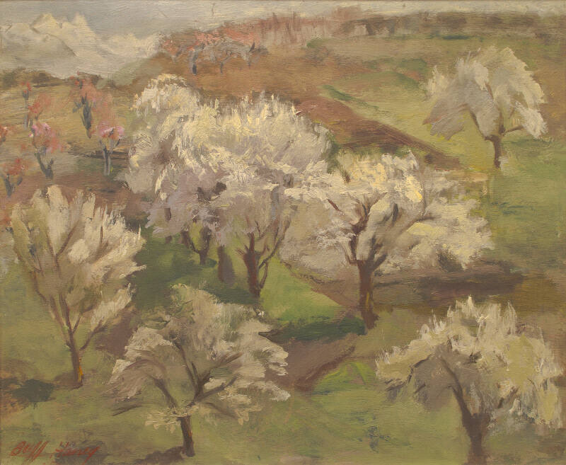 Blossoms and Trees