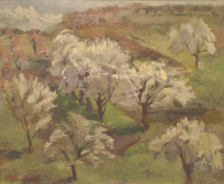 Blossoms and Trees