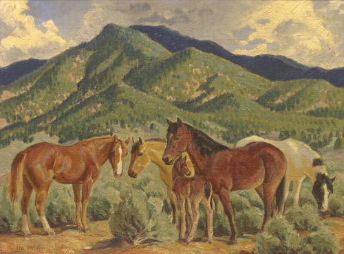 Horses Near Foothills