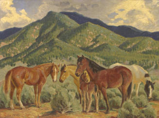 Horses Near Foothills