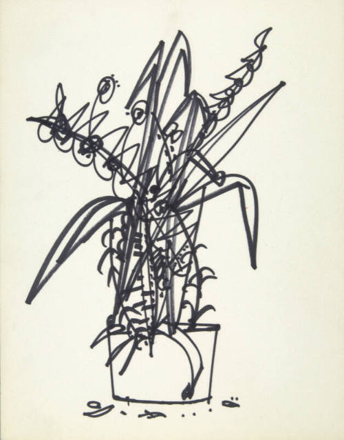 Untitled (plant)