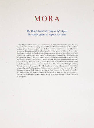 Reflexions del Corazon: Mora: The Heart Awaits its Turn at life Again - El corazon espera su regresso a la tierra