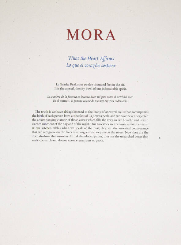 Reflexions del Corazon: Mora: What the Heart Affirms- Lo que el corazon sostiene