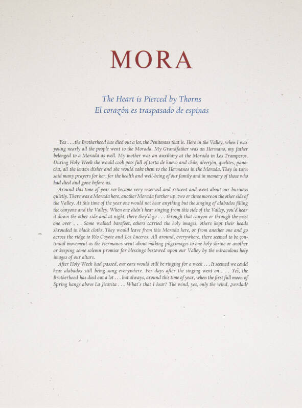 Reflexions del Corazon: Mora: The Heart is Pierced by Thorns - El corazon es traspasado de espinas