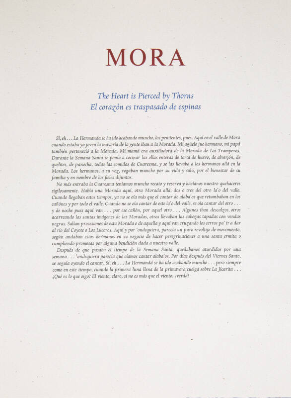 Reflexions del Corazon: Mora: The Heart is Pierced by Thorns- El corazon es traspasado de espinas