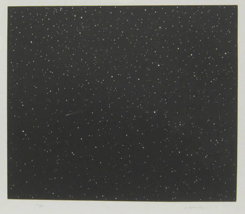 Vija Celmins