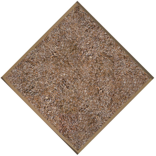 Wood Chips